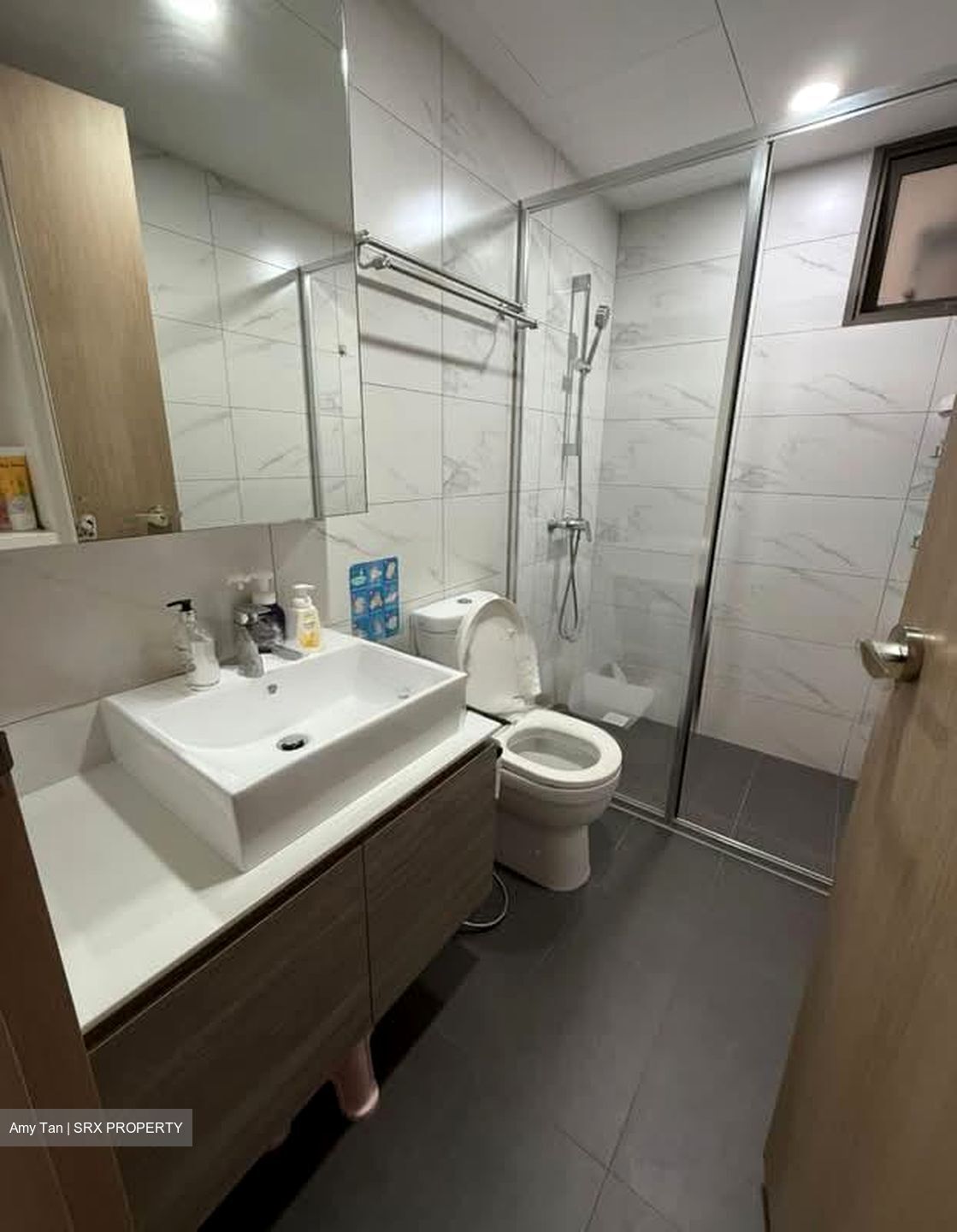 Treasure Crest (D19), Condominium #555679301